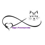 Ziggy's Poezenparadijs