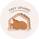 Cavy Opvang